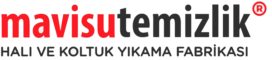 Mavi su Halı Yıkama